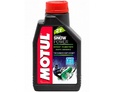 MOTUL Snowpower 2T - 1 л.: 1013ec1ca9ba4fc2248171d11c24570b